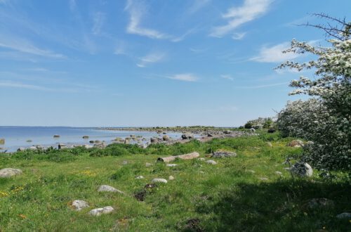 Blick auf die Bucht bei Tosteberga Ängar.