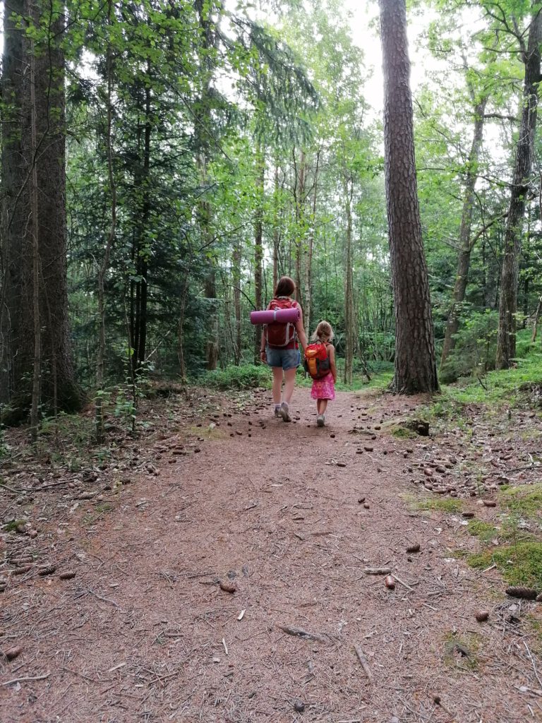 Wir wandern durch den Wald.